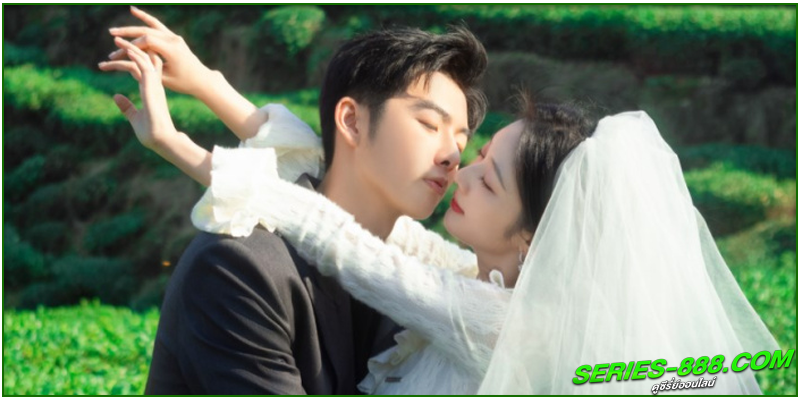 ดูซีรี่ย์ รักเกิดในสวนชา