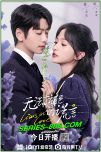 ดูซีรี่ย์ คำรัก คำลวง Liars in Love (2024) ซับไทย-พากย์ไทย Ep.1-24 จบ