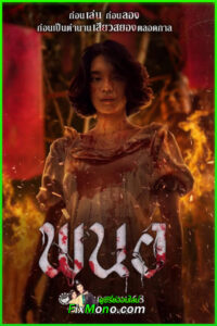 ดูหนัง พนอ Panor (2025) เต็มเรื่อง