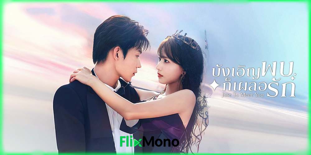 อ่านรีวิวก่อนดู บังเอิญพบก็เผลอรัก Just To Meet You