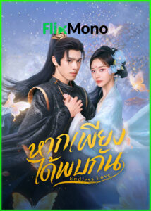 ดูซีรี่ย์ Endless Love หากเพียงได้พบกัน (2026) ซับไทย EP1-24 (จบ)